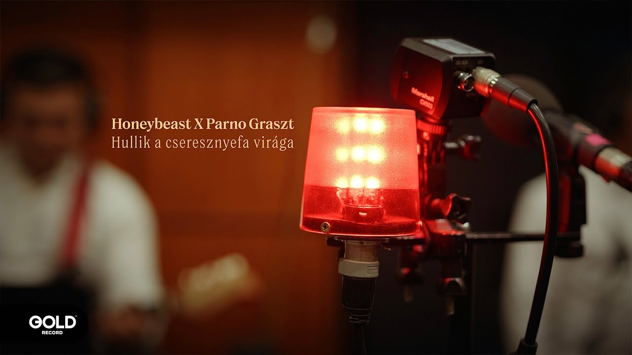 Honeybeast X Parno Graszt - Hullik a cseresznyefa virága