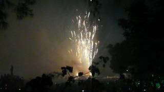 20090209 鹽水主炮