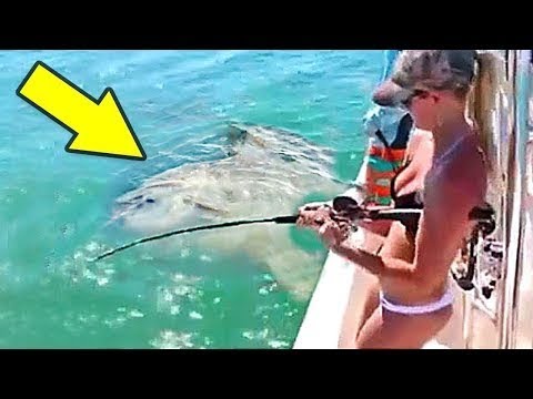 5 შოკისმომგვრელი და სასაცილო მომენტი თევზაობისას