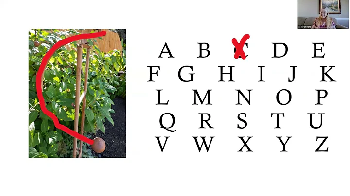 Alphabet Hunt