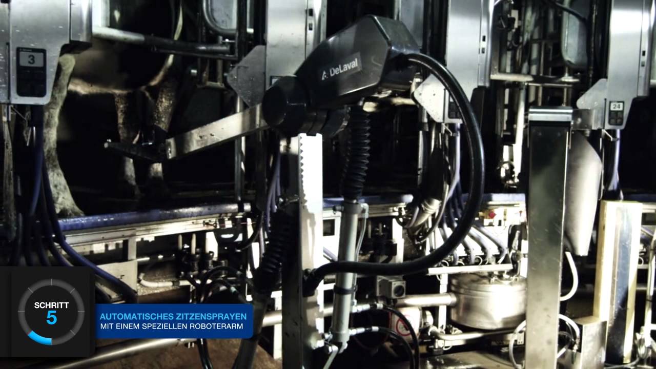 AMR Schritt fur Schritt (Deutsch)