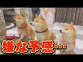 この直後、絶対に爆笑するので観て下さい♪