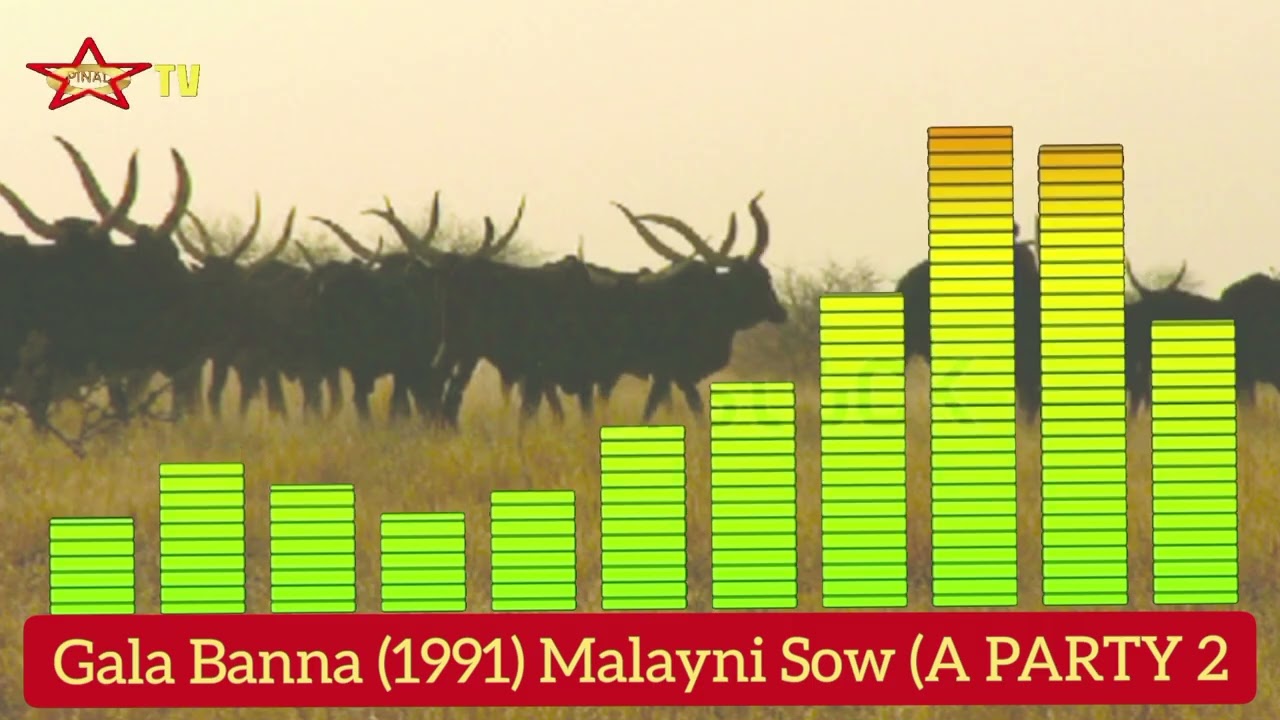 GALA BANNA 1991) Cassette Malayni Sow PARTY B (2)