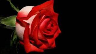 Download Yozgat KadiŞehrİ Video MP3 Yozgat KadiŞehrİ