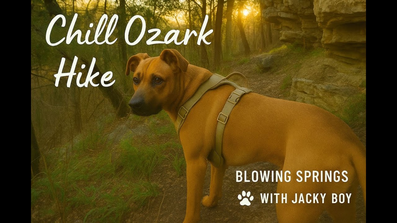 Blowing Springs Dog Hike to Boom Diggity Bluff | Adventures With Jacky Boy