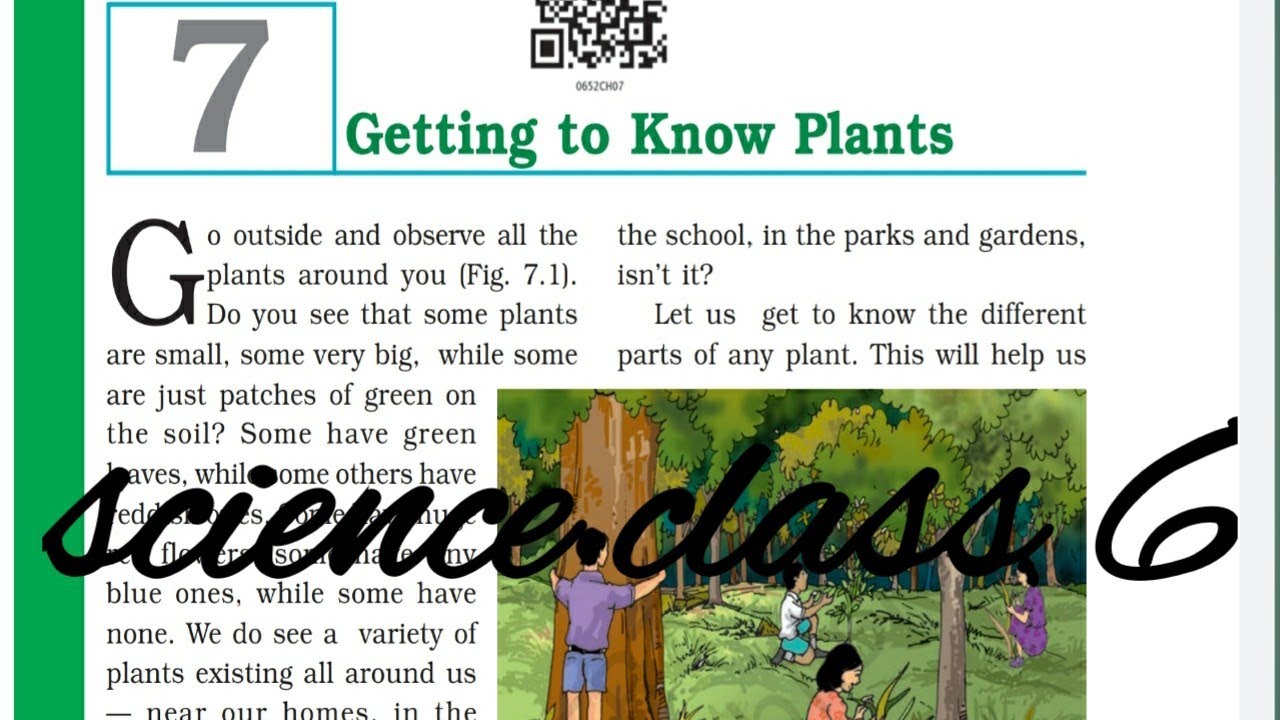 case study questions class 6 science getting to know plants