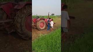 welcome to my mini vlog 😇❤️#like #minivlogs#foryou#Mahi Gujjari #vlogs #viral #trending #reels