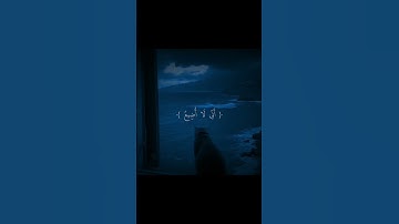 فاستجاب لهم ربهم ✨🫀🎧#القرآن_الكريم #قرآن #quran #تلاوة_خاشعة #foryou #fyp