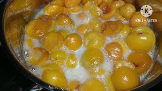 طريقة عمل قطع مربى المشمش  Apricot Jam #jam #apricot #مربى_المشمش #سكر #السعودية #العراق #سوريا