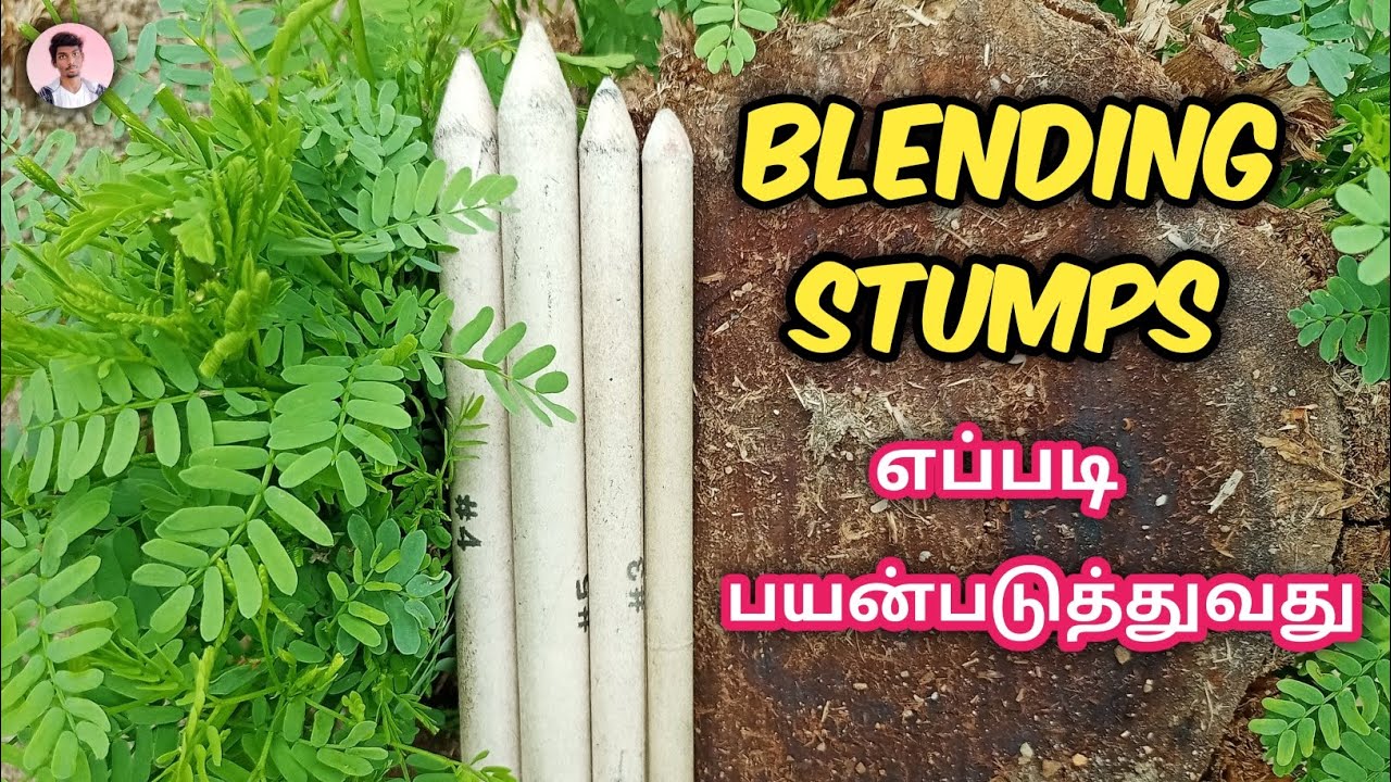 How to use blending stumps tamil/#drawing #blendingstumps - YouTube