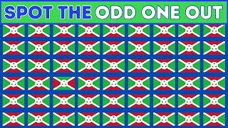 SPOT THE ODD ONE OUT QUIZ | SPOT THE DIFFERENT IMAGE CHALLENGE