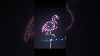 Drone Light Show at Busch Gardens, Tampa