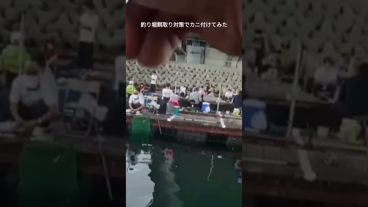 釣り堀 餌取り対策カニ 最新 人気釣りyoutube動画まとめサイト West