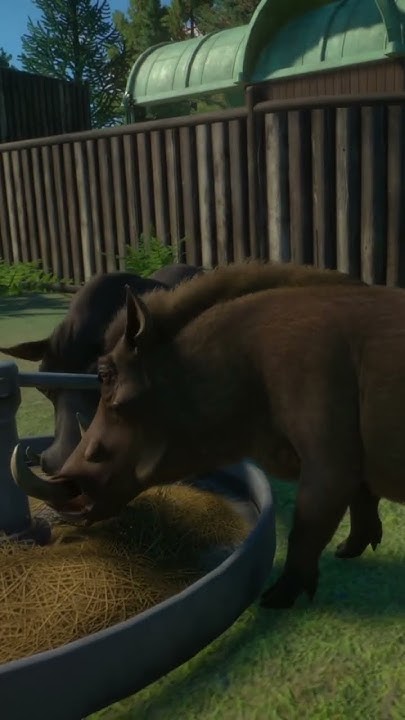 The Mystery of the Munch: Exploring Why Warthogs Make Surprising Sounds