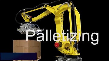 Robotic Palletizing Applications Montage