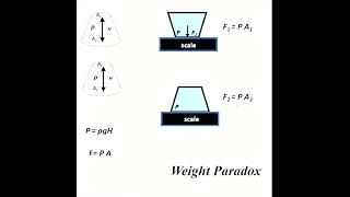 Physics | Hydrostatics | False Weight Paradox | You deserve A+ in physics if explain it!