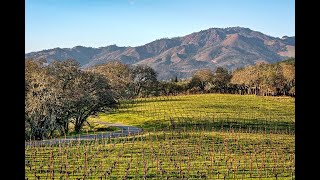 Glen Ellen Ranch | Presented by The Shone Group