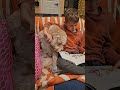 he's reading to our golden doodle #funny #familylife