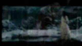 Evanescence - Whisper 2002 video (fanmade)