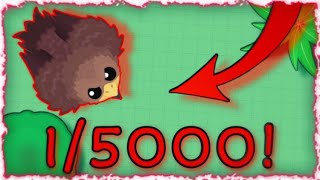 Mope.io I Got The New GOLDEN SHAHBAZ 1/5000 ! (insane animal)