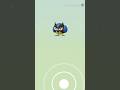 Hatch New Pokemon Go EGGS with Me!