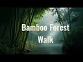 Lofi Songs For Studying– Chill &amp; Relaxing Music 🎧 Bamboo Forest Walk 🎋