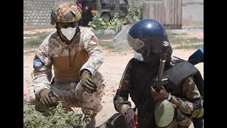 Commilitium In Altum The Heart Of The Eumc