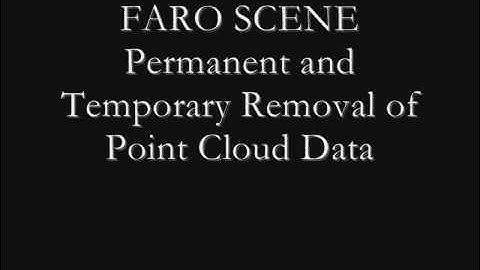 FARO SCENE Clip Box  VS Permanant Delete
