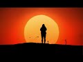 Free Woman Standing Alone Sunset Birds HD Free Woman Standing Alone Sunset Birds HD
