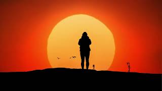 free, Woman standing alone, sunset, birds HD