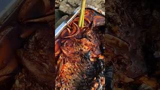 মাছের রেসিপি SIMPLE and USEFUL #bushcraft #camping #outdoors #foryou #facts