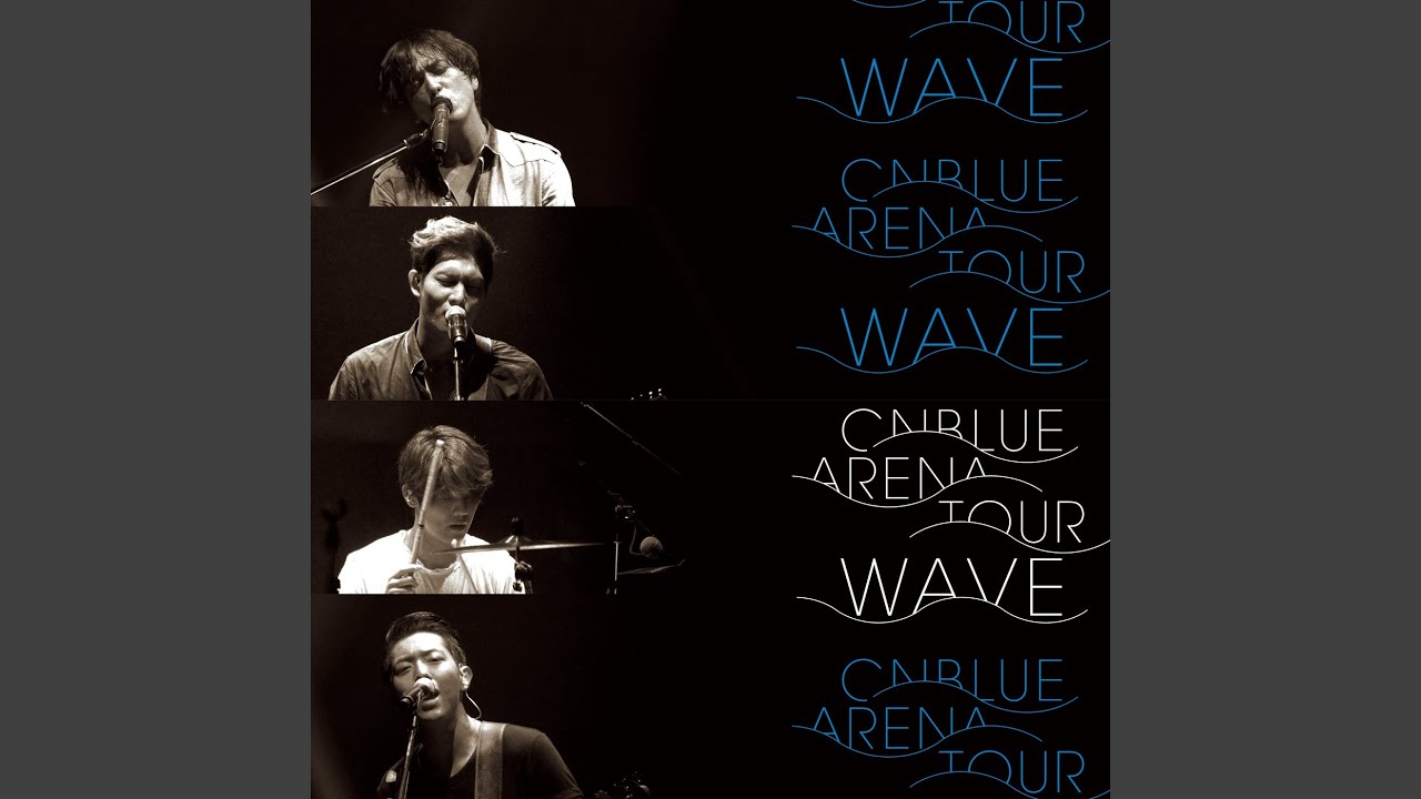 Arena Tour 2016 : Wave (Live)