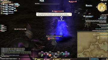 FFXIV ARR - Guildhests Lv.30 - Annoy the Void