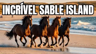 A INCRÍVEL  ILHA DOS CAVALOS SELVAGENS Sable  Island
