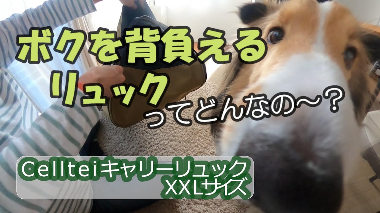 ボクを背負えるリュックってどんなの～？ - YouTube