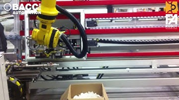 BACCI AUTOMATION - Silicone and Glass application - Setz