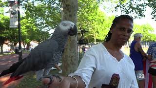 Sights & Sounds | City of Wilmington 4th Of July Celebration and Fireworks
