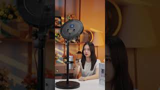 Perfect Lighting for Makeup, Streaming, and TikToks
