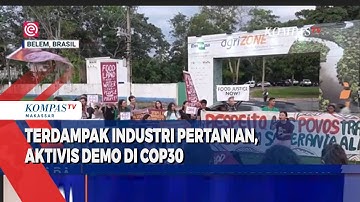 Terdampak Industri Pertanian, Aktivis Demo Di COP30