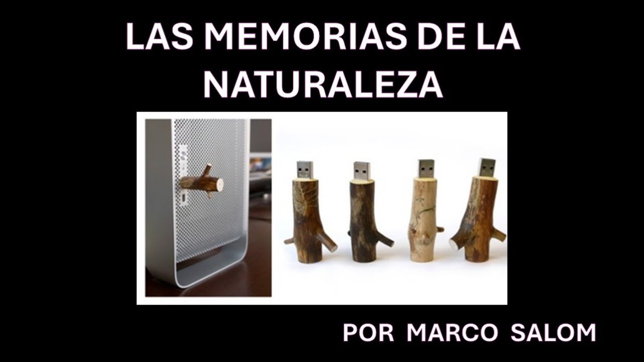 LAS MEMORIAS DE LA NATURALEZA POR MARCO SALOM