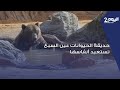 بالدار البيضاء حديقة الحيوانات عين السبع تستعيد أنفاسها بعد طول انتظار 