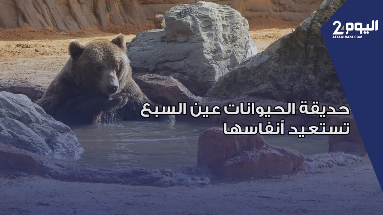 بالدار البيضاء.. حديقة الحيوانات عين السبع تستعيد أنفاسها بعد طول انتظار