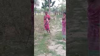 Love Hindi Song Dolby Atmos