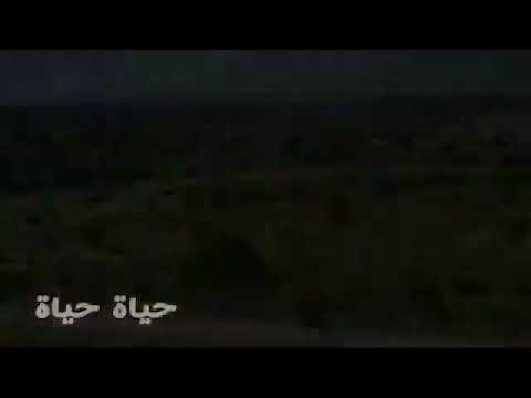 حب كل حياتي ميران ريان زهرة الثالوث