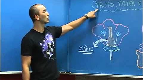 Diferença Entre Fruta, Fruto e Pseudofruto