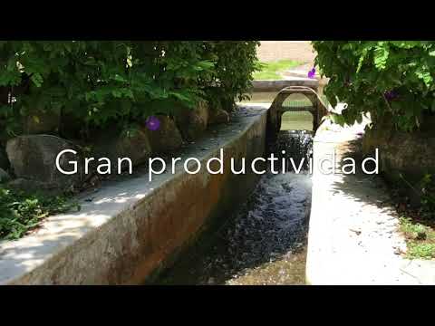 Video: Puerto-Rikodagi Hacienda Buena Vista kofe plantatsiyasi