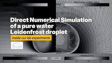 Direct Numerical Simulation (DNS) of a pure water Leidenfrost droplet