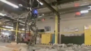 Humanoid robot takes a gone through the forested areas