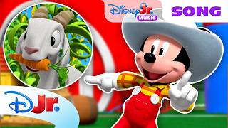 mickey plays hide seek mickey mouse clubhouse mickey s country