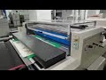 The high -speed local UV upper light machine is 10,000 per hour. The real factory shoots videos.